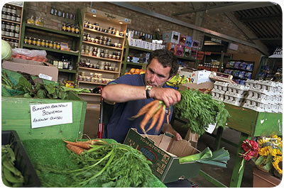 Man working in greengrocers