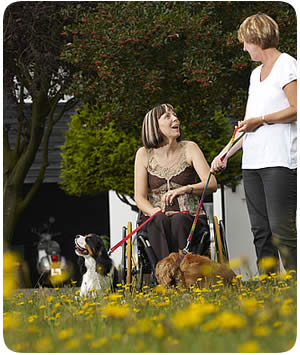 Lady in wheelchair with carer walking dogs